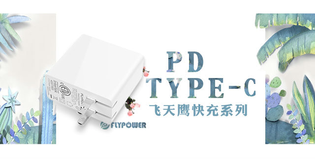 Type-c 充電器